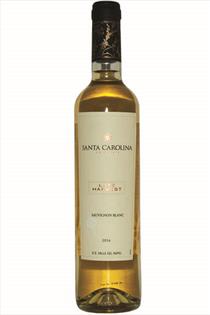 Sauvignon, Sweet Wine, Late Harvest, Vina Casablanca, Chile, 2016 (50cl)