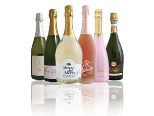 The 6 Sparkling